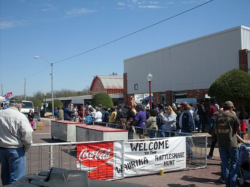 Waurika Rattlesnake Hunt Oklahoma's Official Travel